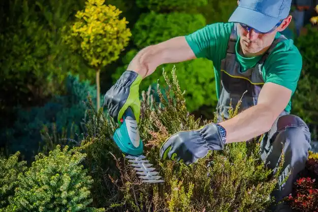 landscaping services Senath